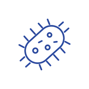 Bacteria-contamination-icon