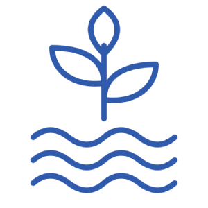 Irrigation Solutions